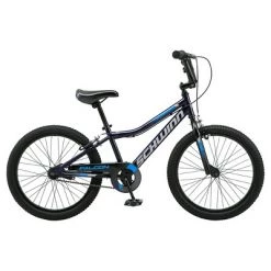 Schwinn Falcon 20" Kids' Bike Blue