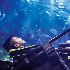 Evenflo Pivot Xplore All-Terrain Double Stroller Wagon Wayfarer -Riding Toys, Scooters & Hoverboards shop unnamed file 6669