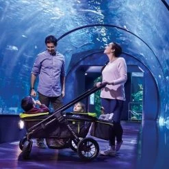 Evenflo Pivot Xplore All-Terrain Double Stroller Wagon Wayfarer -Riding Toys, Scooters & Hoverboards shop unnamed file 6670